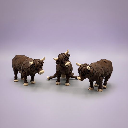 Highland Cattle Gruppe – Lavendel